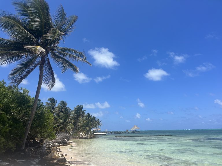 Bright blue water framed by palm trees to the left surrounded by clear blue skies with a few clouds in the distance.
