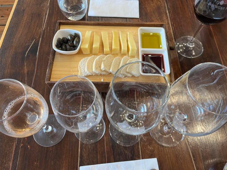 Best DIY Budget Chilean Winery Tour (Casablanca)