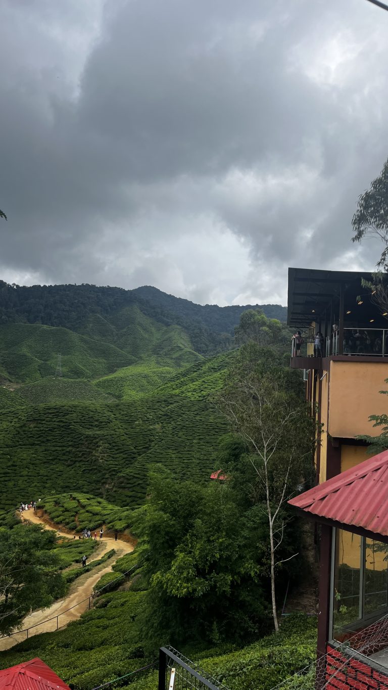 Ultimate 5 Day Cameron Highlands Budget Guide